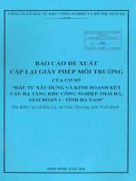 Báo cáo Đề xuất cấp giấy phép môi trường Đầu tư xây dựng và kinh doanh kết cấu hạ tầng khu công nghiệp thái hà, giai Đoạn 1   tỉnh hà nam