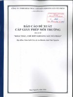 Báo cáo Đề xuất cấp giấy phép môi trường khai thác, chế biến khoáng sản núi pháo