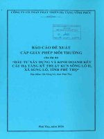 Báo cáo dtm Đầu tư xây dựng và kinh doanh kết cấu hạ tầng kỹ thuật khu công nghiệp sông lô ii   quy mô 165,655 ha