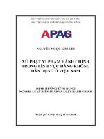 Xử phạt vi phạm hành chính trong lĩnh vực hàng không dân dụng Ở việt nam