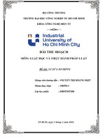 IUH - LUẬT HỌC VÀ THỰC HÀNH PHÁP LUẬT - LUẬT LAO ĐỘNG