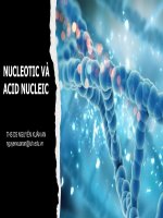 THÀNH PHẦN HÓA HỌC CỦA NUCLEOTID VÀ ACID NUCLEIC