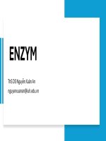 Định nghĩa và vai trò của enzyme