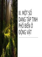 Tập tính của động vật