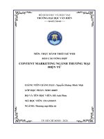 Báo Cáo Tổng Hợp Content Marketing Ngành Thương Mại Điện Tử.pdf