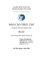 Báo Cáo Thực Tập Ngành Trí Tuệ Nhân Tạo Đề Tài Nền Tảng Của Covergo.pdf