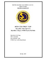 Báo Cáo Thực Tập Học Phần Thực Tập Kỹ Sư Địa Điểm Công Ty Tnhh Toyota Mỹ Đình.pdf
