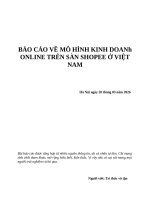 Bài báo cáo về Mô hình kinh doanh trên shopee
