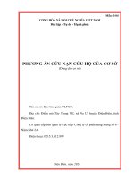 Phương Án cứu nạn cứu hộ