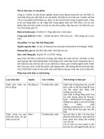 Quản lý môi trường  công ty cofidec