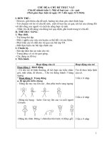 Ga chủ Đề 6 thực vật gửi 2025  2026