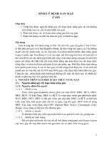 Slb gan mật k78 word