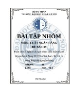 Phân tích Ý nghĩa các quy Định Điều kiện thành lập và hoạt Động tctd nhằm hạn chế rủi ro trong hoạt Động ngân hàng