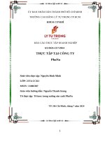 Báo cáo thực tập doanh nghiệp công ty phana