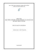 Hệ Điều hành window và linuxunix  Đề tài dịch vụ dnsdhcp