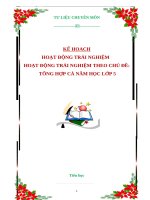 KẾ HOACH 
 HOẠT ĐỘNG TRẢI NGHIỆM	
HOẠT ĐỘNG TRẢI NGHIỆM THEO CHỦ ĐỀ:
 TỔNG HỢP CẢ NĂM HỌC LỚP 5
,docx