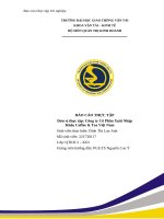 Báo cáo thực tập Đơn vị thực tập công ty cổ phần xuất nhập khẩu coffee & tea việt nam