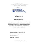 Xây dựng tình huống giả Định minh họa mô hình Đặc Điểm công việc của mathis(2008)  giả Định công việc là nhân viên digital marketing tại công ty thương mại Điện tử