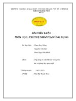 Bài tiểu luận môn học trí tuệ nhân tạo Ứng dụng