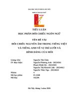 Đôi chieu nguyen am trong tieng việt và tiếng anh về vị trí lưỡi và hình dáng của môi