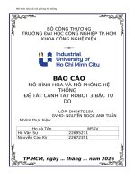 Báo cáo mô hình hóa và mô phỏng hệ thống Đề tài cánh tay robot 3 bậc tự do