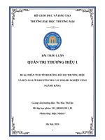 Đề tài phân tích tình huống rủi ro thương hiệu và Đưa ra lời khuyên cho các doanh nghiệp cùng ngành hàng