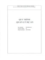 Quy trình làm việc của ban QLDA