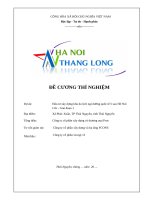 Đề cương thí nghiệm Đinh neo