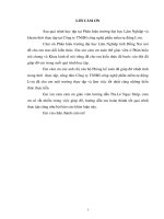 Nghiên cứu công tác kế toán doanh thu, chi phí và xác Định kết quả kinh doanh tại công ty tnhh công nghệ phần mềm tự Động lvin