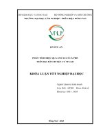 Phân tích hiệu quả sản xuất cà phê trên Địa bàn huyện c'mgar