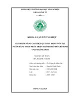 Giải pháp nâng cao hiệu quả huy Động vốn tại ngân hàng tmcp phát triển nhà tp hcm pgd trảng bom