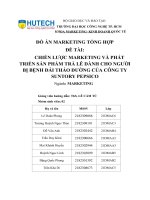 Chiến lược marketing và phát triển sản phẩm trà lê dành cho người bị bệnh Đái tháo Đường của công ty suntory pepsico