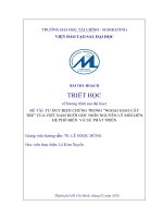 Tư duy biện chứng trong ngoại giao cây tre của việt nam dưới góc nhìn nguyên lý mối liên hệ phổ biến và sự phát triển