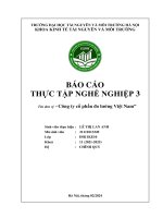 Báo cáo thực tập nghề nghiệp 3 tên Đơn vị công ty cổ phần Đo lƣờng việt nam