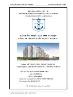 Báo cáo thực tập tốt nghiệp công ty cổ phần xây dựng central